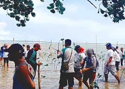 UPLiFT Adopts Mangrove Site in Bataan